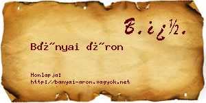 Bányai Áron névjegykártya